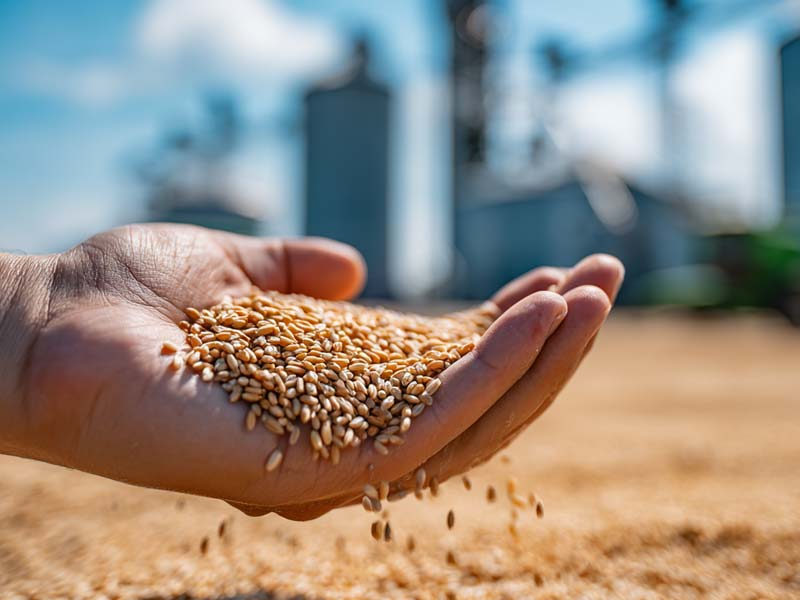 Global Commodities